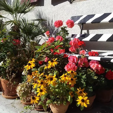 Appartamento Little Flowerpot *